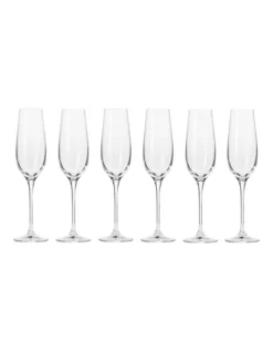 Harmony Set Of 6 180ml Champagne Flute