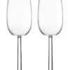 Iittala Raami Set Of 2 Champagne Glass -Cutlery Shop 671077000 1 720x928