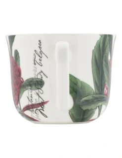 Maxwell & Williams Royal Botanic Gardens Botanica Cup & Saucer 450ML Telopea Gift Boxed In Multi -Cutlery Shop 934399090 3 720x928