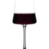 Salome Red Wine Single Without Gift Box In Clear 2 Salome Red Wine Single Without Gift Box In Clear -Cutlery Shop 967309300 1 720x928