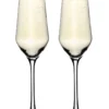 Margeaux Champagne Flute Set Of 2 -Cutlery Shop 968640760 1 720x928