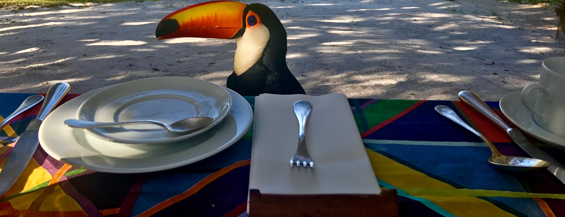 Cutlery Shop -Cutlery Shop photo 1502181355239 7466fa0104c2